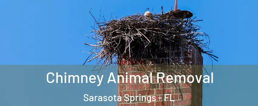 Chimney Animal Removal Sarasota Springs - FL