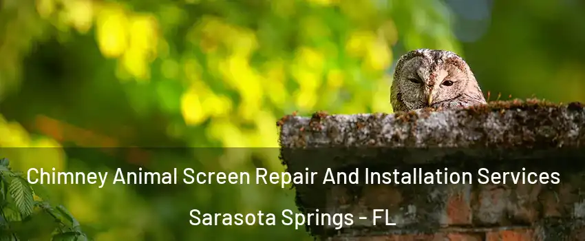  Chimney Animal Screen Repair And Installation Services Sarasota Springs - FL