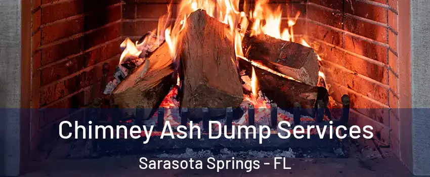  Chimney Ash Dump Services Sarasota Springs - FL