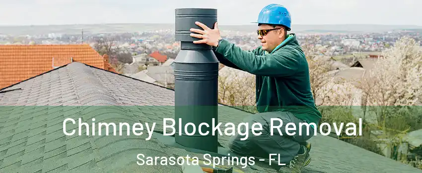  Chimney Blockage Removal Sarasota Springs - FL