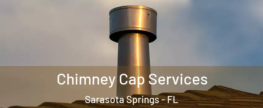  Chimney Cap Services Sarasota Springs - FL