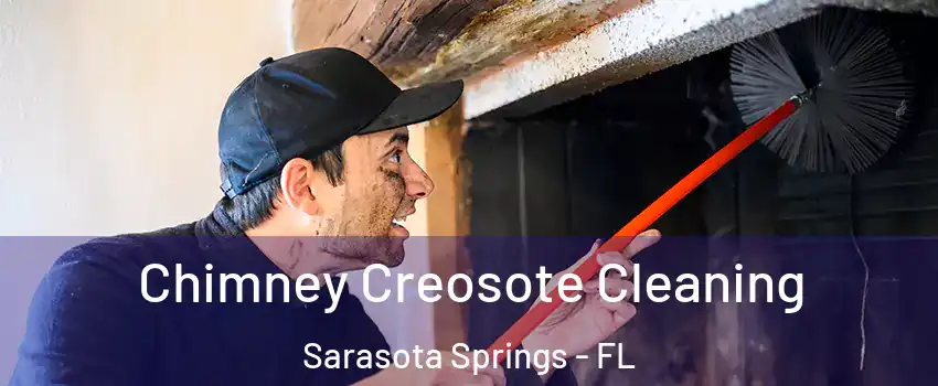  Chimney Creosote Cleaning Sarasota Springs - FL