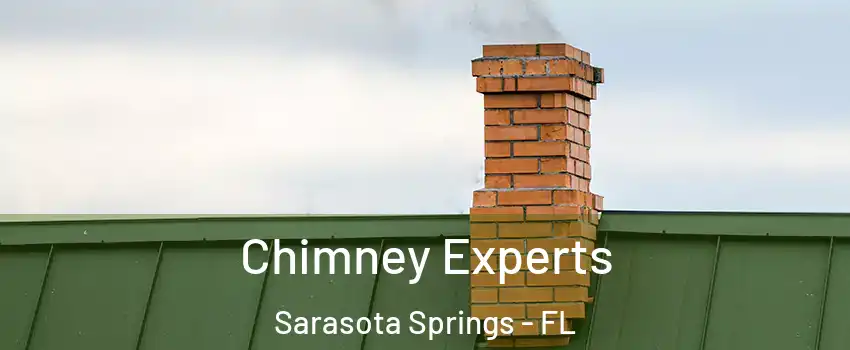 Chimney Experts Sarasota Springs - FL