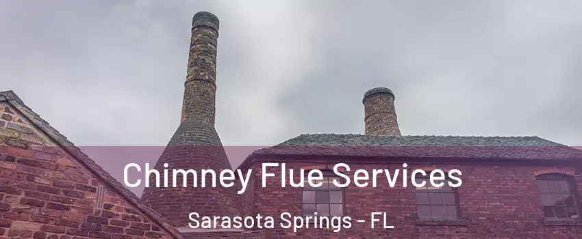  Chimney Flue Services Sarasota Springs - FL