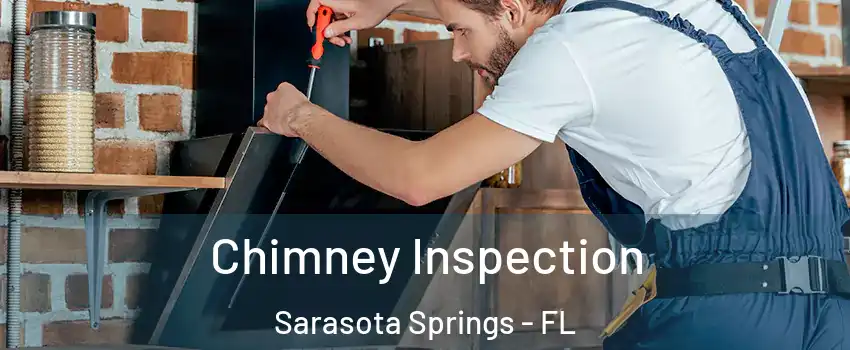  Chimney Inspection Sarasota Springs - FL
