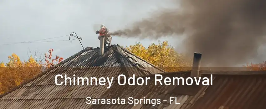  Chimney Odor Removal Sarasota Springs - FL