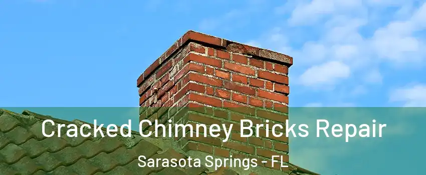  Cracked Chimney Bricks Repair Sarasota Springs - FL