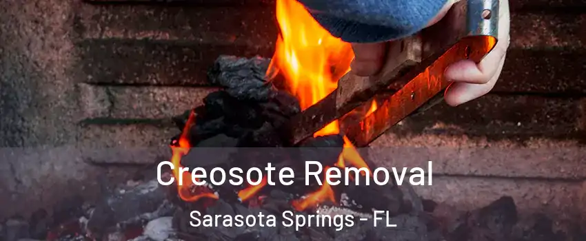  Creosote Removal Sarasota Springs - FL