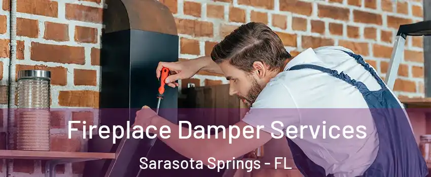  Fireplace Damper Services Sarasota Springs - FL