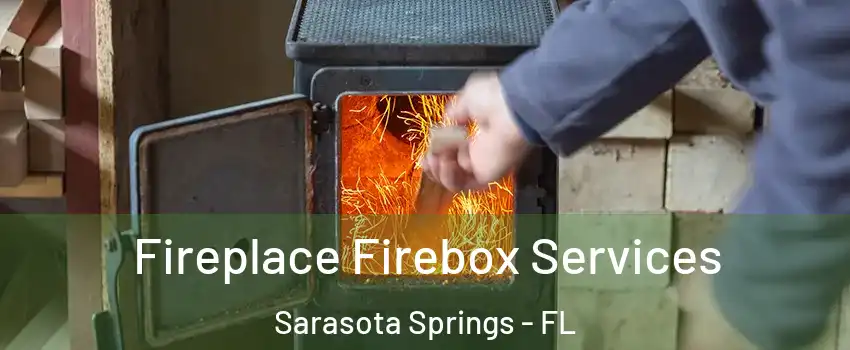 Fireplace Firebox Services Sarasota Springs - FL