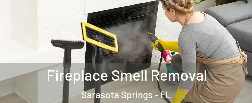  Fireplace Smell Removal Sarasota Springs - FL