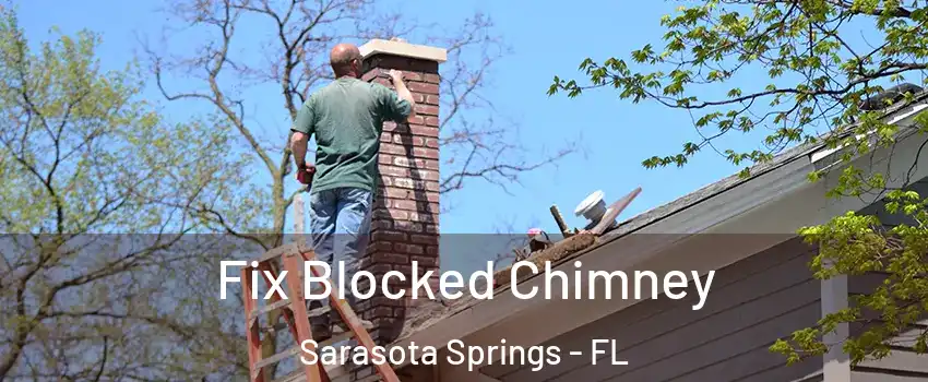  Fix Blocked Chimney Sarasota Springs - FL