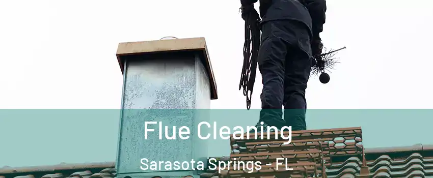  Flue Cleaning Sarasota Springs - FL