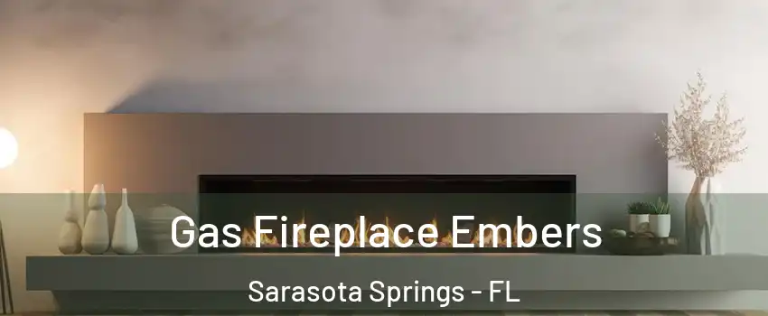  Gas Fireplace Embers Sarasota Springs - FL
