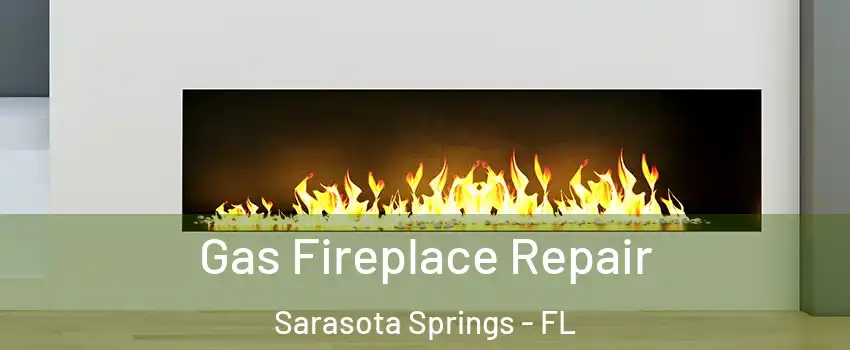  Gas Fireplace Repair Sarasota Springs - FL