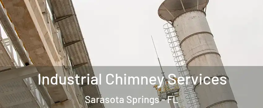  Industrial Chimney Services Sarasota Springs - FL