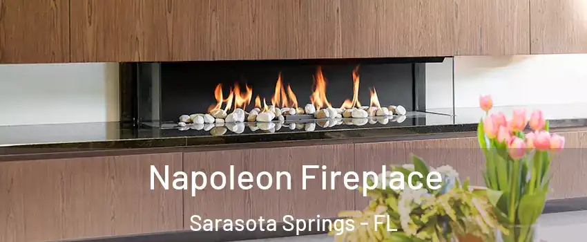  Napoleon Fireplace Sarasota Springs - FL