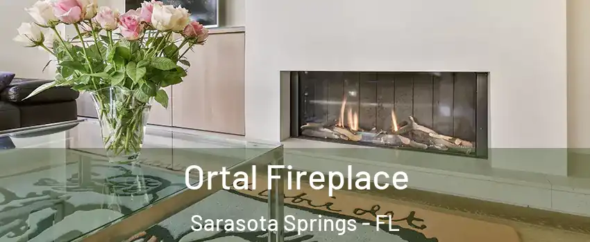  Ortal Fireplace Sarasota Springs - FL
